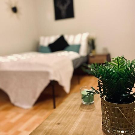Saniertes Studio - Elisa - Mit Balkon, Wlan, Smart-Tv & Kueche In City-Naehe Эрфурт Экстерьер фото