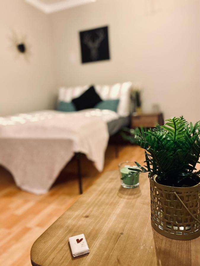 Saniertes Studio - Elisa - Mit Balkon, Wlan, Smart-Tv & Kueche In City-Naehe Эрфурт Экстерьер фото